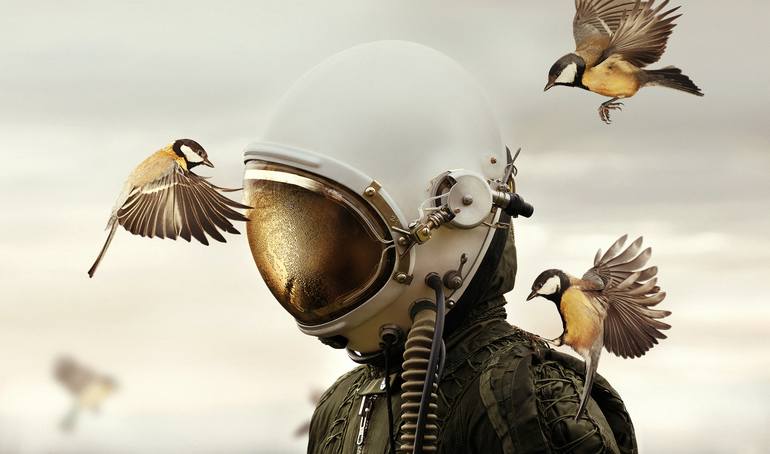 Original Conceptual Animal Photography by Martin Stranka