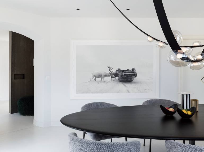 Original Minimalism Animal Photography by Martin Stranka