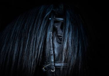 Print of Fine Art Horse Photography by Anna Wacker