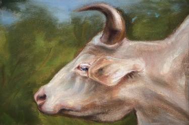 Original Fine Art Animal Paintings by Sam Reichman