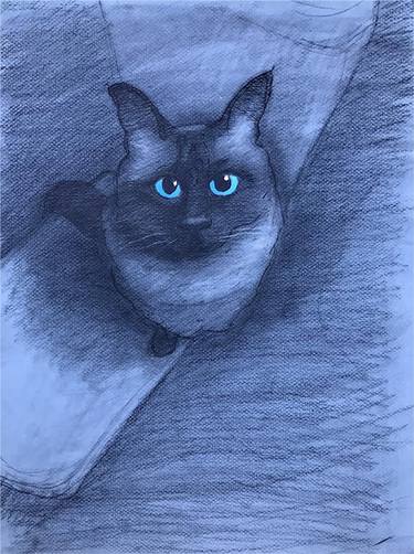 Original Expressionism Cats Drawings by Sam Reichman