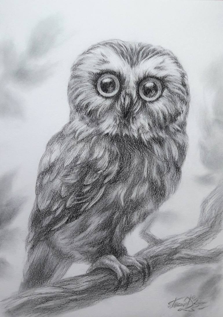 Owl Drawing by Tomara Darina | Saatchi Art