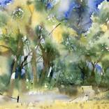 Creosote and Mesquite by Buffy Kaufman