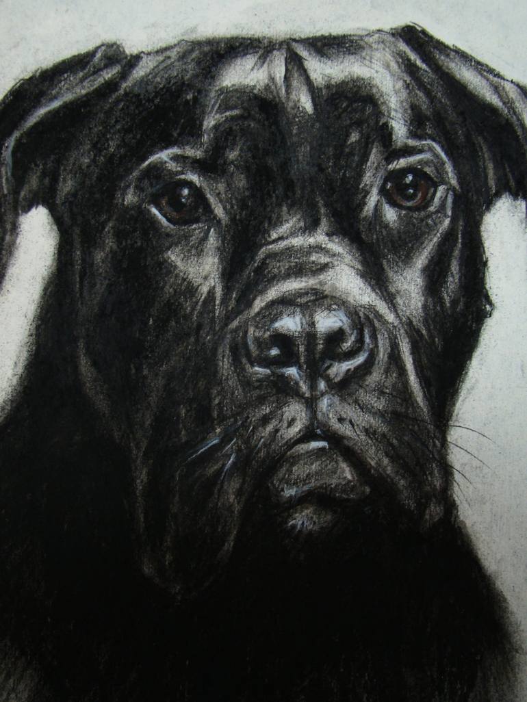 Original Portraiture Animal Drawing by Julia Lihina