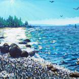 Collection The Port Orchard Series