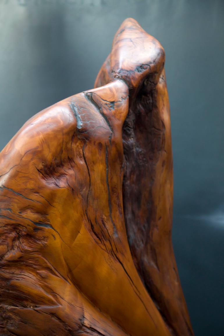 Original Other Animal Sculpture by Miranda Bronson