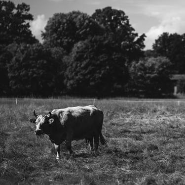 Original Photorealism Rural life Photography by Hubert Czech