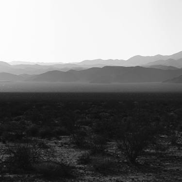 California Squared Vision: Joshua Fog thumb