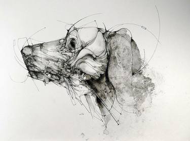 Original Abstract Dogs Drawings by Ajwa Umer