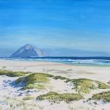 Collection Landscapes
