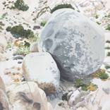 Collection Landscapes