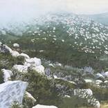 Collection Landscapes