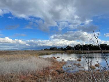 Original Realism Landscape Photography by Tom Richardson