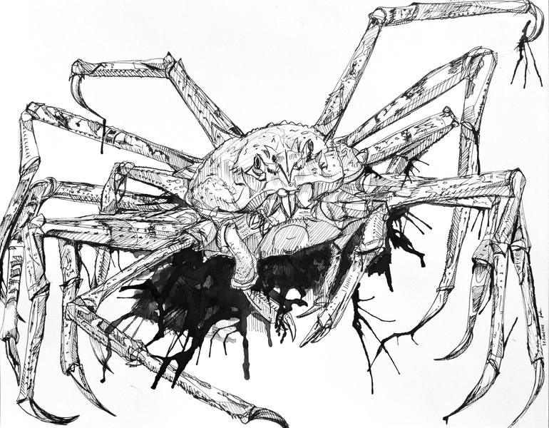 Spider crab Drawing by Fernanda Avila Saatchi Art