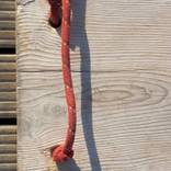 Gangplank by Sara Ridgley