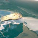 Flip-flotsam by Sara Ridgley