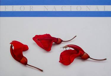 FLOR NACIONAL (serie) thumb