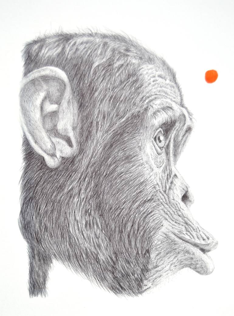 Original Realism Animal Drawing by Ben Williams