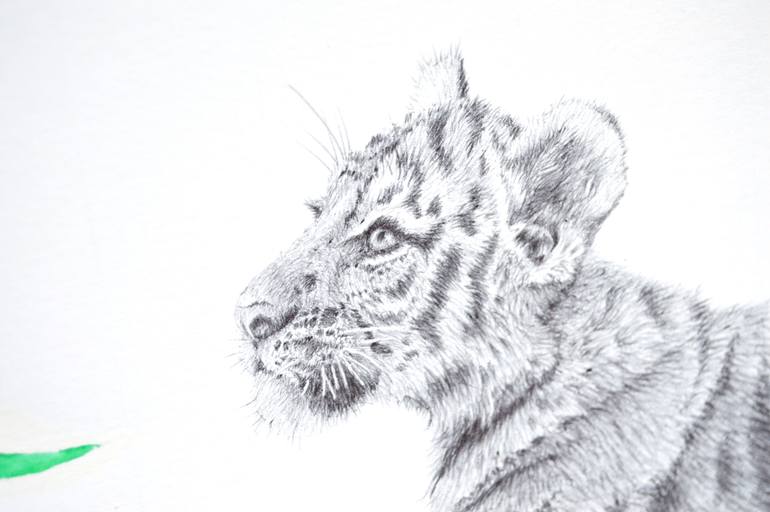 Original Illustration Animal Drawing by Ben Williams