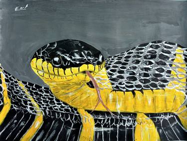 Original Snake painting, Mangrove snake, acrylic painting, Boiga dendrophila thumb