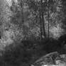 view additional image 1