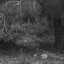 view additional image 1