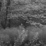 view additional image 1