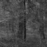 view additional image 1