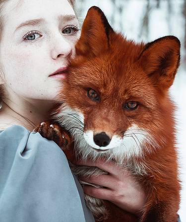 Saatchi Art Artist Alexandra Bochkareva; Photography, “Foxes - Limited Edition of 3” #art