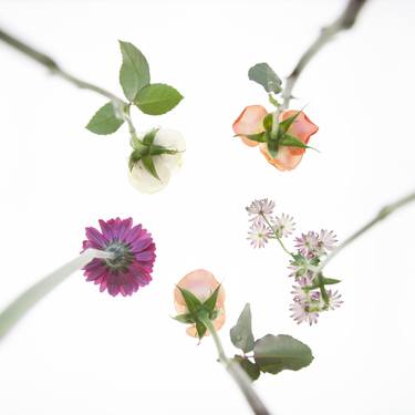 Original Conceptual Floral Photography by Jochen Leisinger