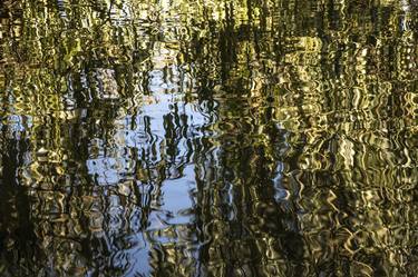 Print of Fine Art Nature Photography by Jochen Leisinger