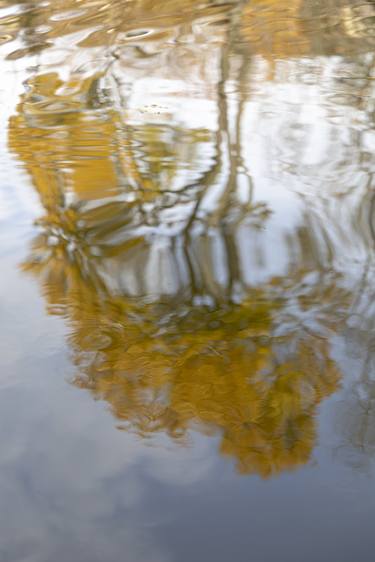 Print of Modern Nature Photography by Jochen Leisinger