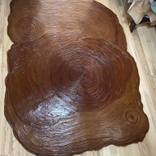 LARGE ORGANIC RECTANGLE PETRIFIED TREE ART RUG by SG scott gelander