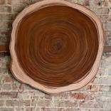 125 YEAR OLD LEATHER TREE ART by SG scott gelander