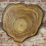Tree Leather Wall Art - petrified Southern Yellow Pine #110 by SG scott gelander