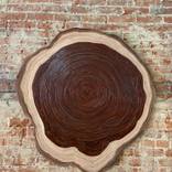 LEATHER TREE WALL ART - 130 YEAR-OLD OAK by SG scott gelander