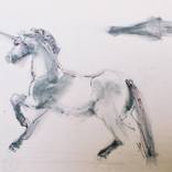 Notebook Drawing II by Miriam Sweeney
