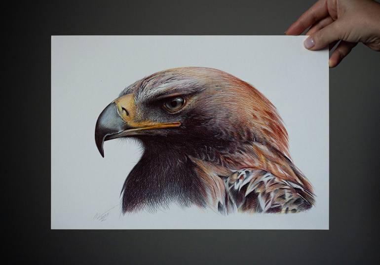 Original Animal Drawing by Daria Maier