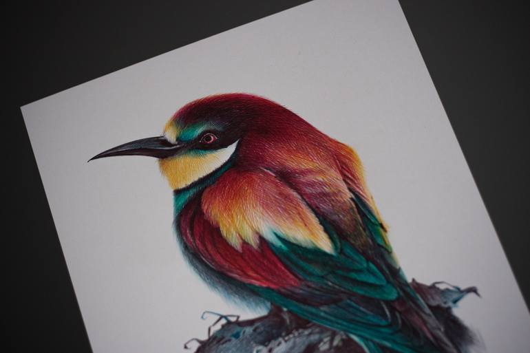 Original Documentary Animal Drawing by Daria Maier