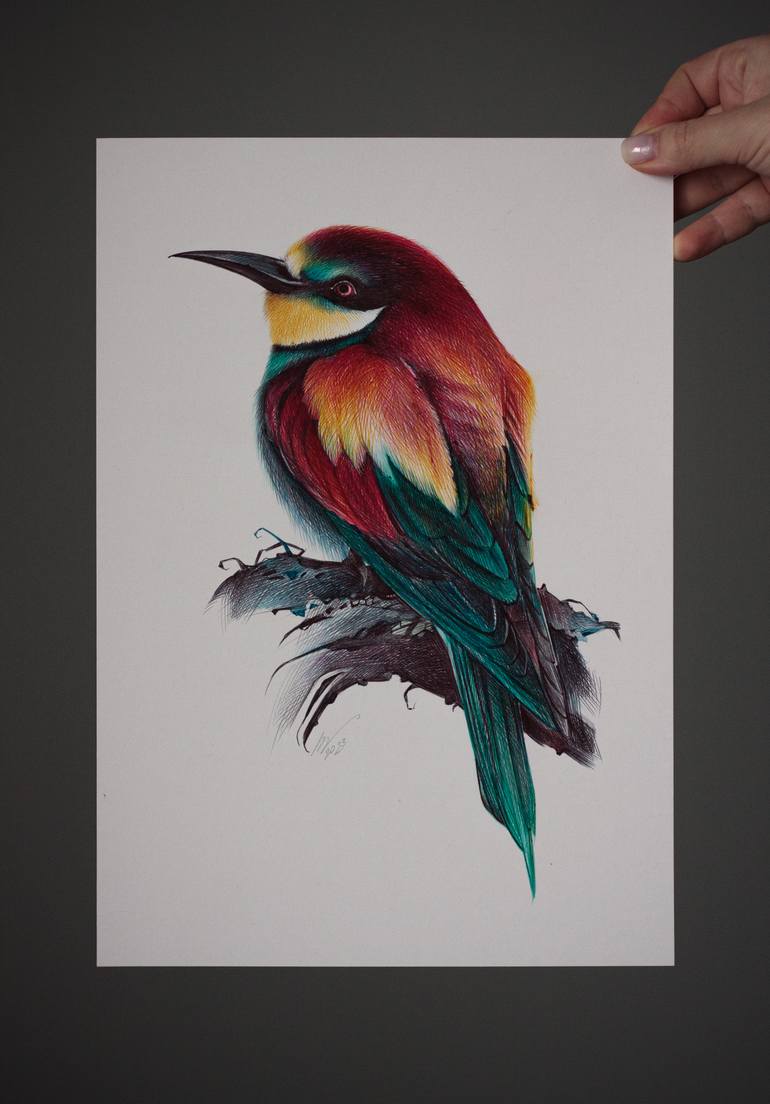 Original Documentary Animal Drawing by Daria Maier