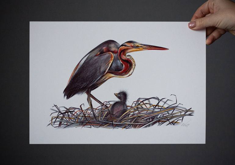 Original Photorealism Animal Drawing by Daria Maier