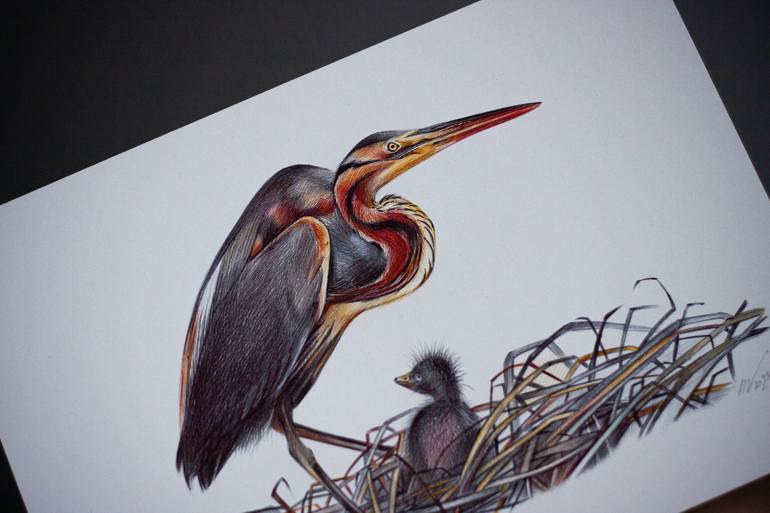 Original Photorealism Animal Drawing by Daria Maier