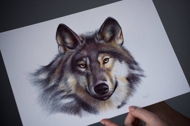 Original Animal Drawing by Daria Maier