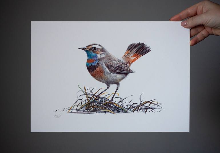 Original Photorealism Animal Drawing by Daria Maier