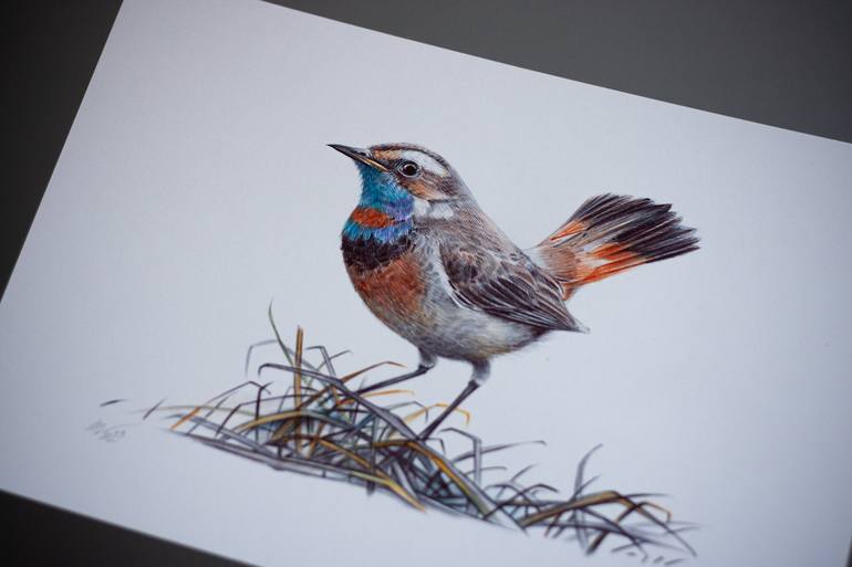 Original Photorealism Animal Drawing by Daria Maier