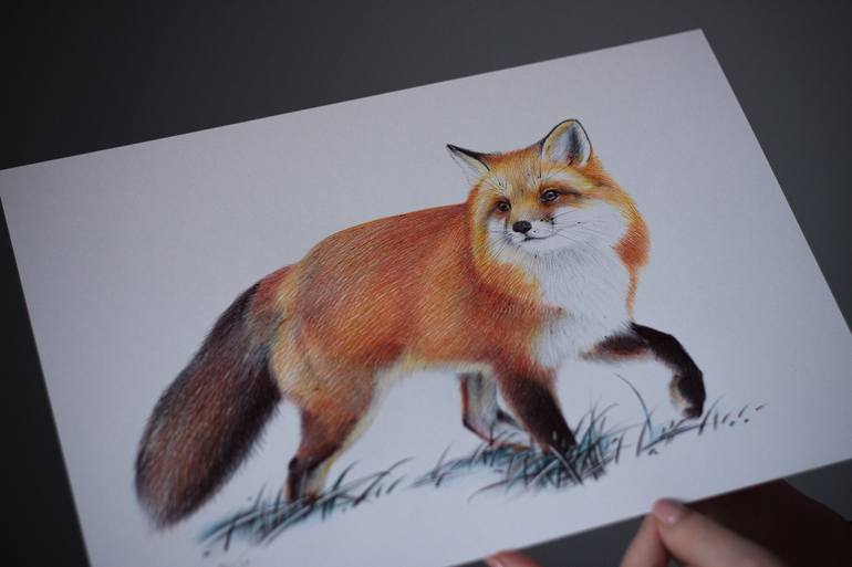 Original Photorealism Animal Drawing by Daria Maier