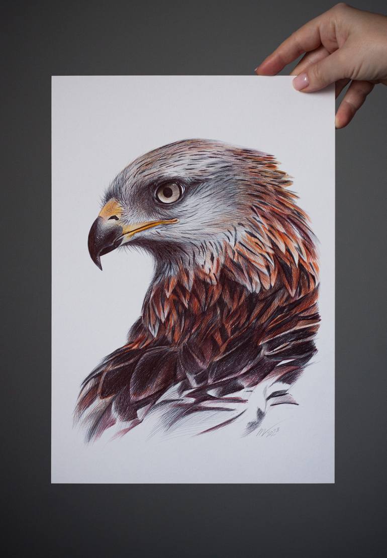 Original Photorealism Animal Drawing by Daria Maier