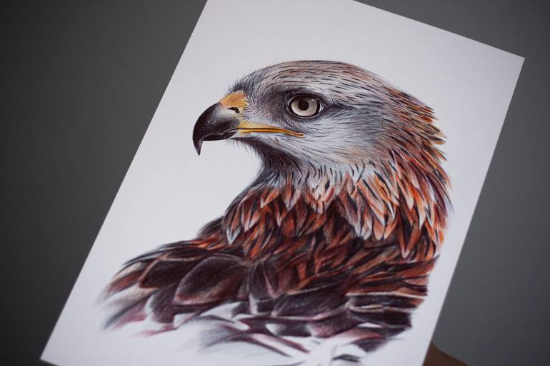 Original Photorealism Animal Drawing by Daria Maier