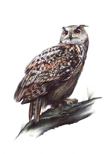 Eurasian Eagle-owl (Realistic Ballpoint Pen Bird Portrait) thumb