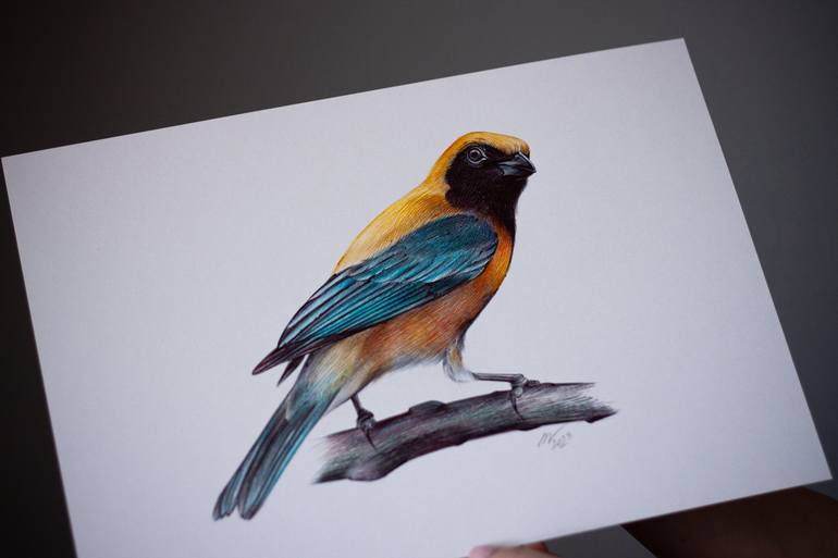 Original Photorealism Animal Drawing by Daria Maier